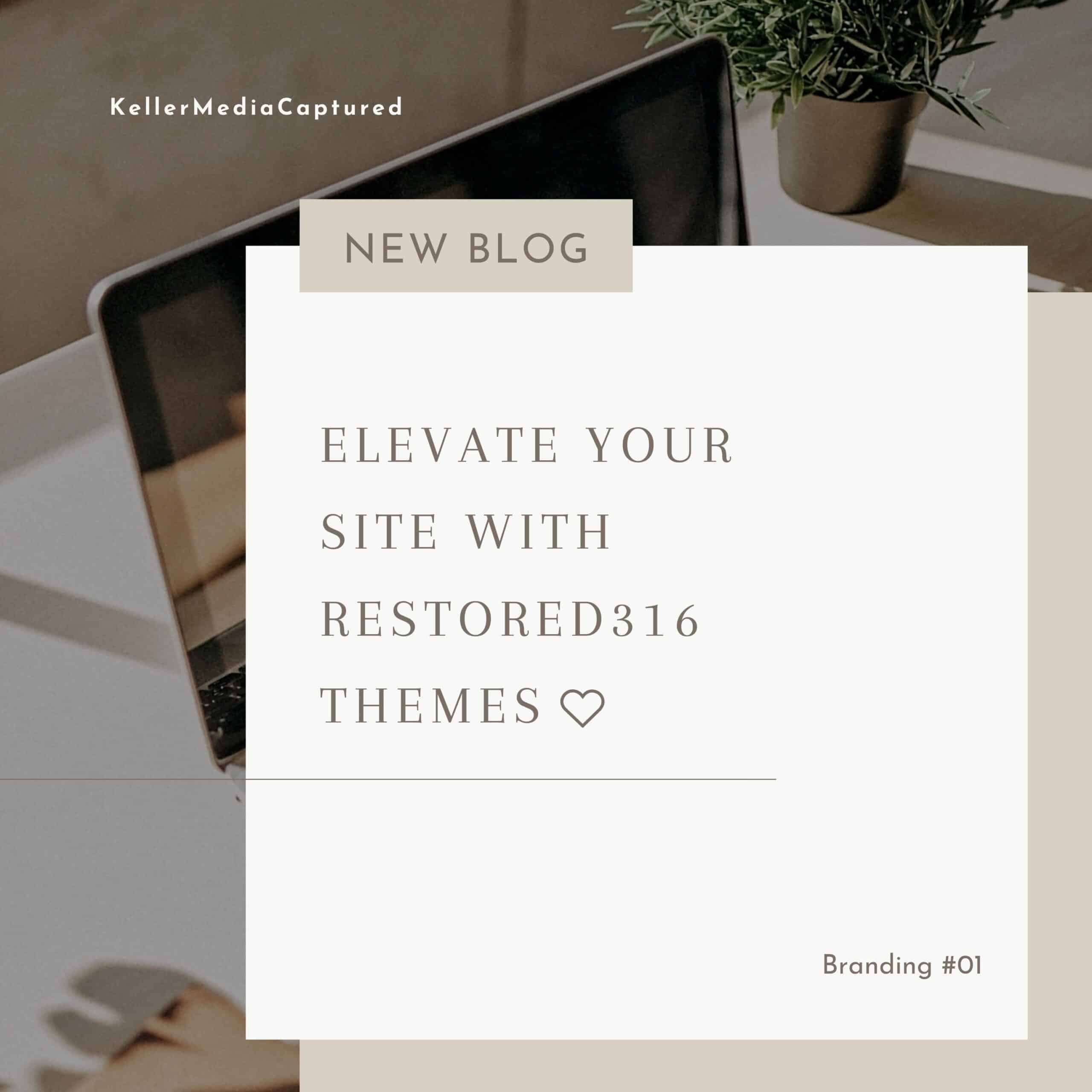 Elevate your site with Restored316 themes